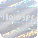 Design 1 Silver hologram with silver logo
